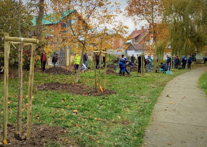 Közösségi faültetés – 63 db fát ültettek el a Vízmű dolgozói szombaton, Újszegeden